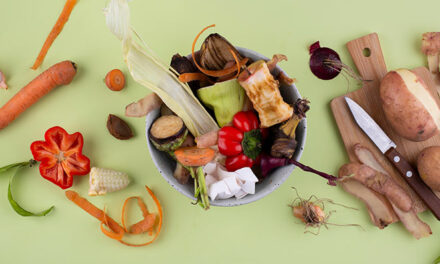 Minimizing Food Waste: A Sustainable Path to Saving and Savoring